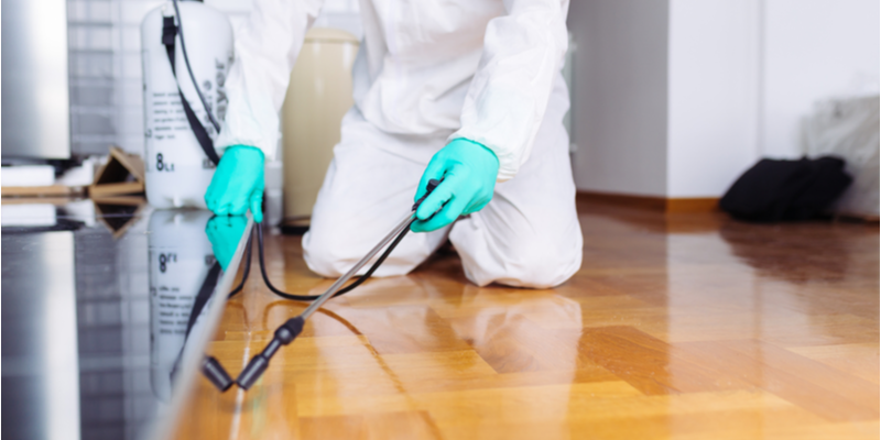 Choosing A Pest Control Company In Salinas, CA