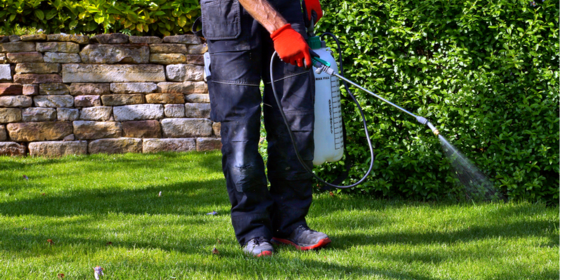 DON’T SKIP OUT ON ROUTINE PEST CONTROL SERVICES DURING THE WINTER