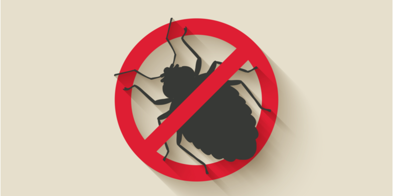 WHAT BUGS DO I NEED TO WORRY ABOUT IN THE COLDER MONTHS? | Target Pest Control