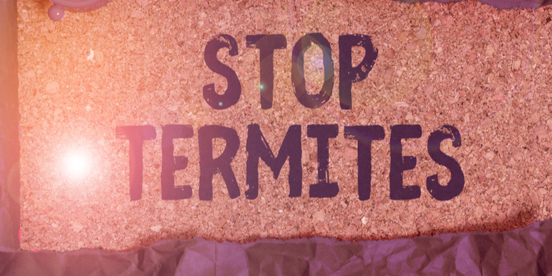 Eliminating a Termite Infestation From Your Salinas, CA Home | Target Pest Control