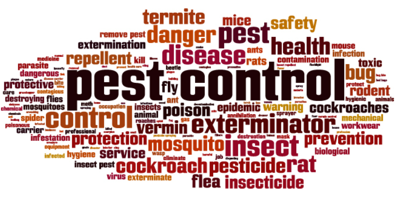 Pest Control Tips for Monterey Homeowners | Target Pest Control