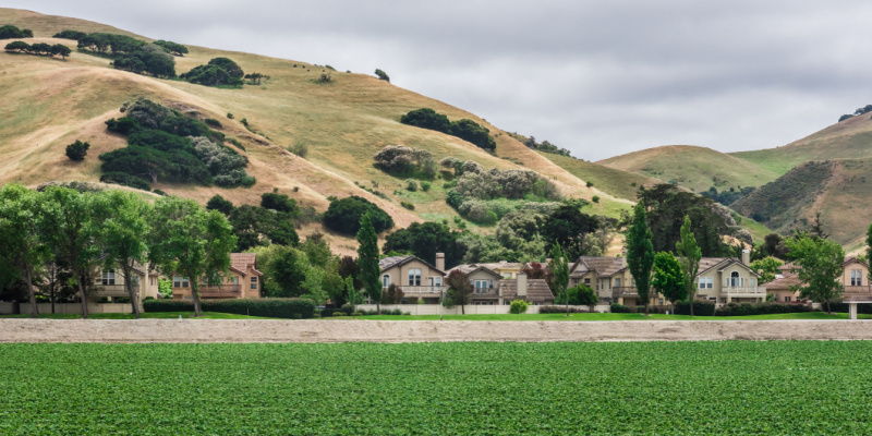 Cockroach Control Experts in Salinas, CA