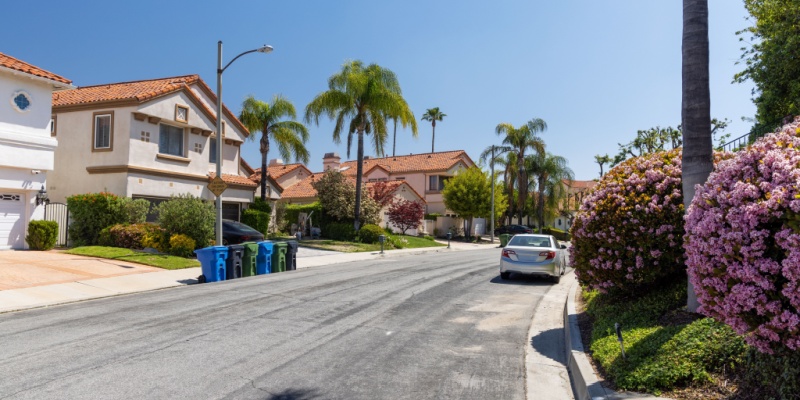 Do I Really Need Pest Control in Salinas, CA—Or Can I Handle It Myself?