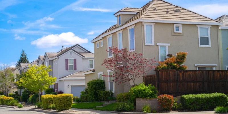 How Often Should You Get Pest Control in Salinas, CA?